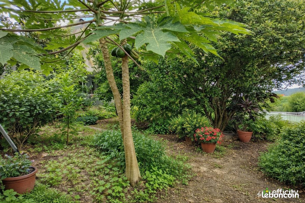 Maison 9 pièces 196 m² · à Saint-Louis · 196 m² · 376 500 €