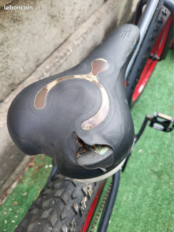 Fat Bike (image 6)