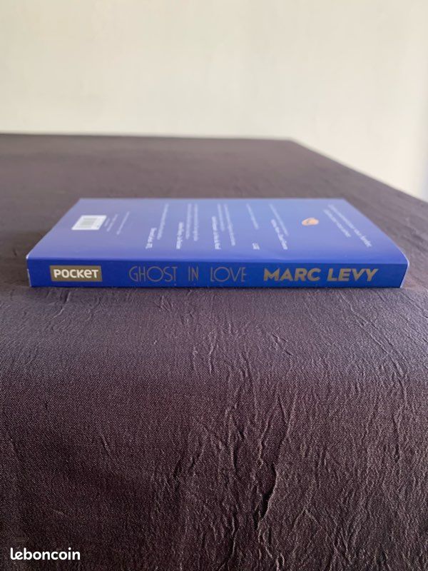 « Ghost in Love » de Marc Levy (image 3)