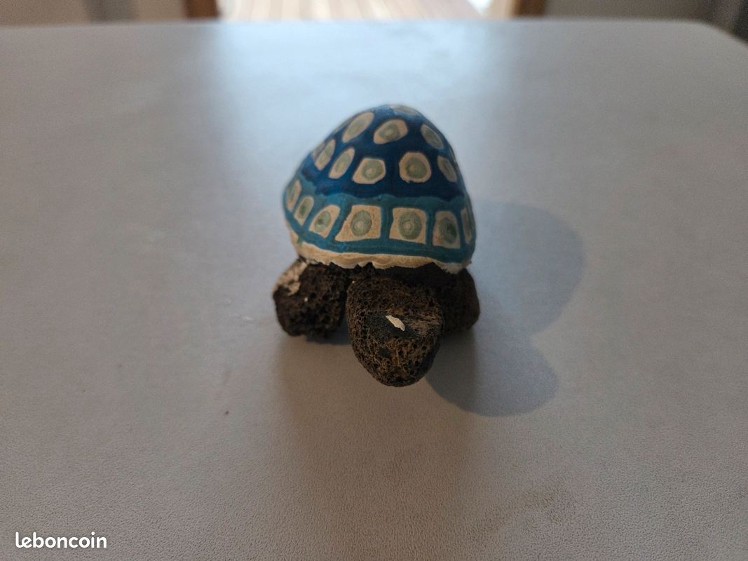Mutation tortue (image 3)