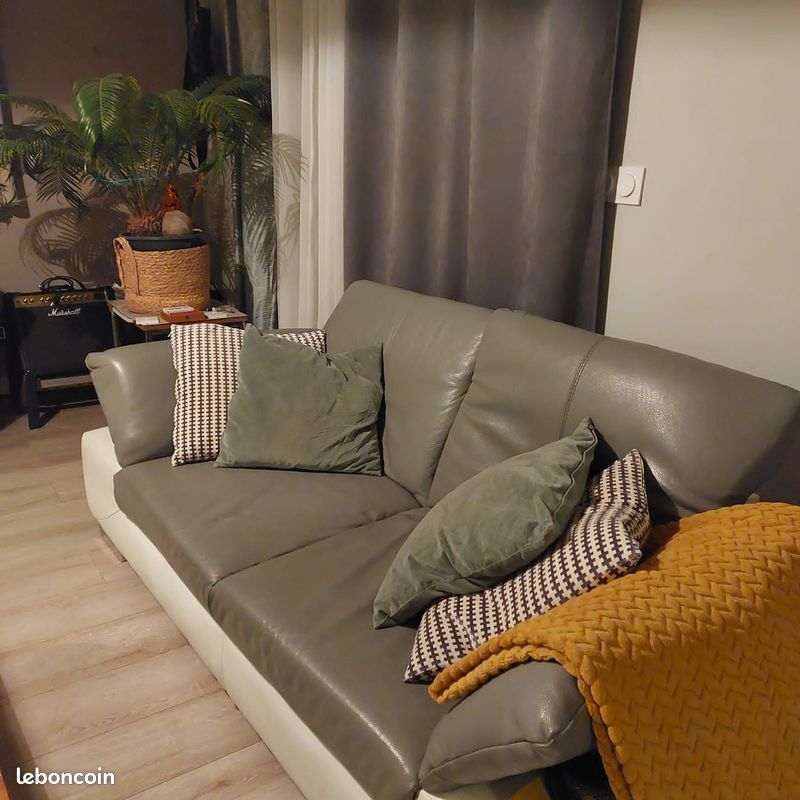 Canapé cuir (image 3)