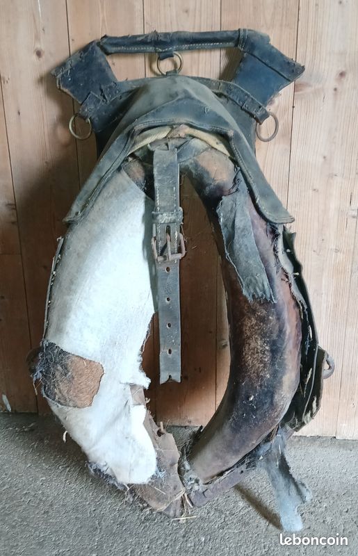 Joug de cheval (image 1)