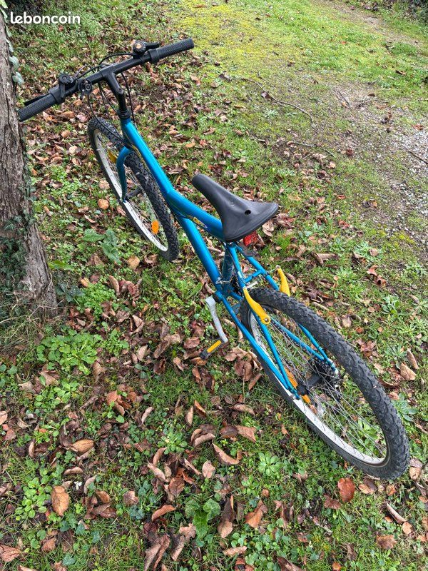 Vente VTT gipsy (image 3)