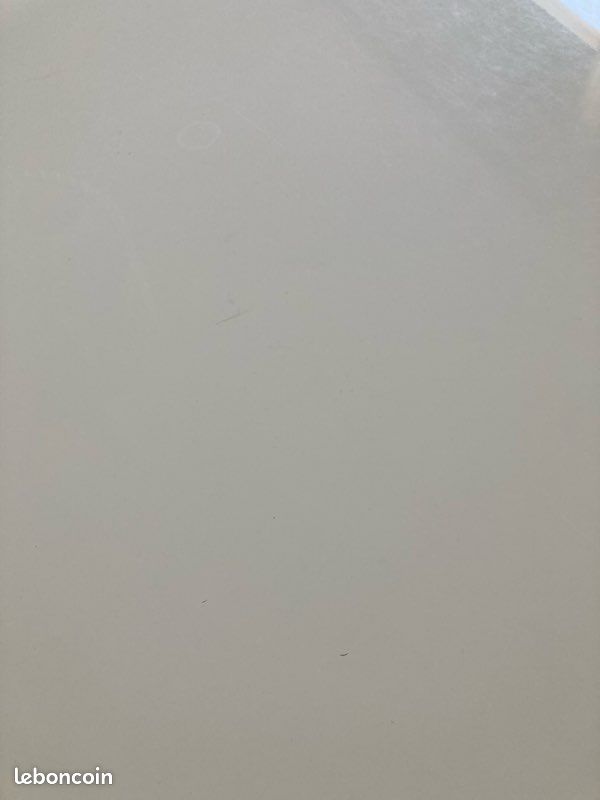 Table blanc laqué 6/8 personnes (image 5)