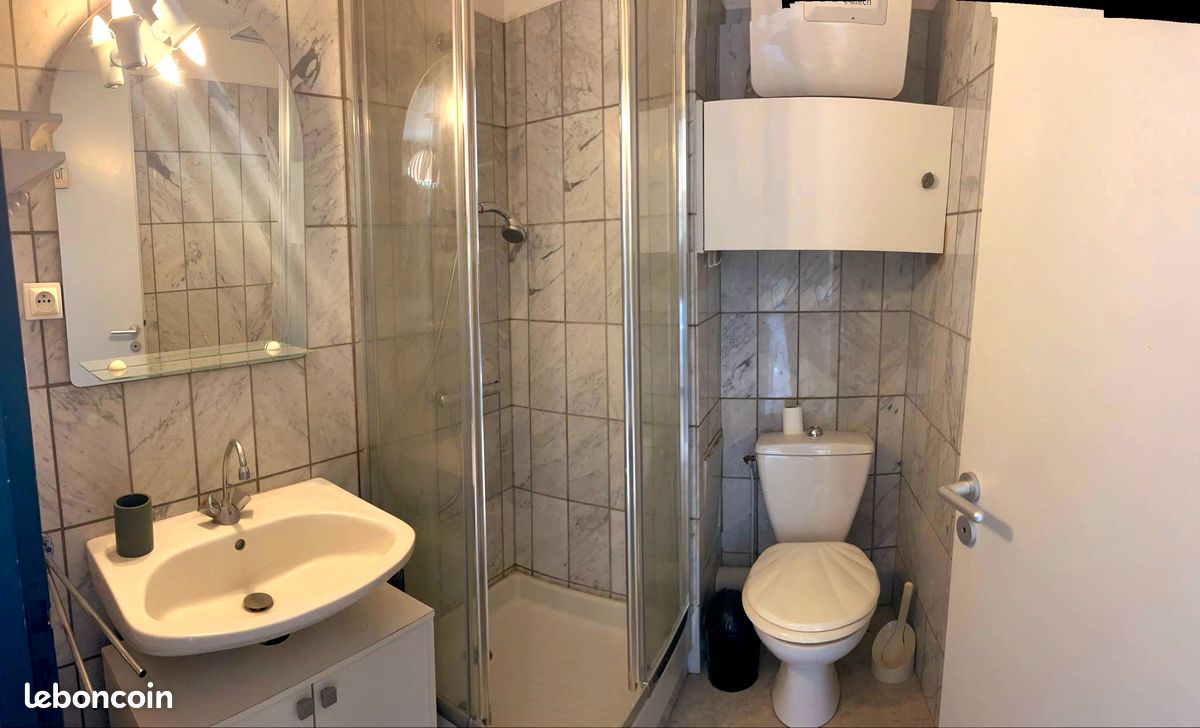 Appartement Saint Cyprien plage (image 5)