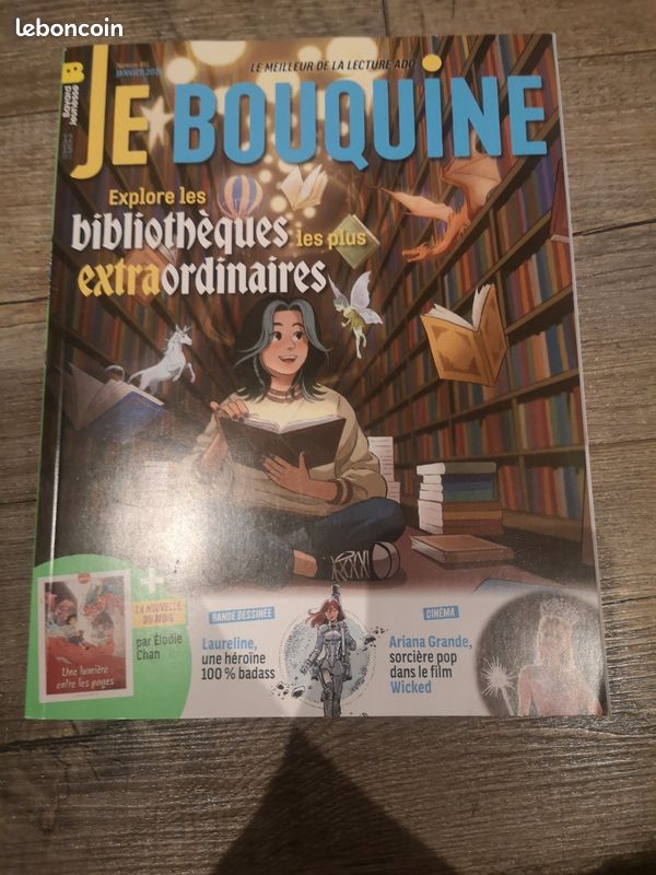 Lot de 4 livres je bouquine (image 5)