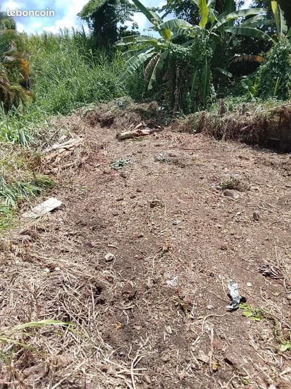 Terrain 525 m² Riviere Salee · à Rivière-Salée · 80 000 €