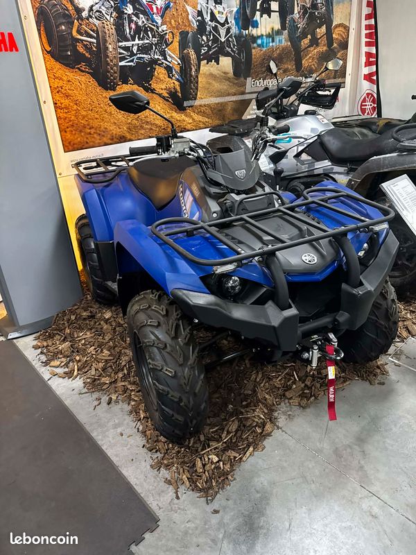 Yamaha kodiak 450 démonstration (image 1)