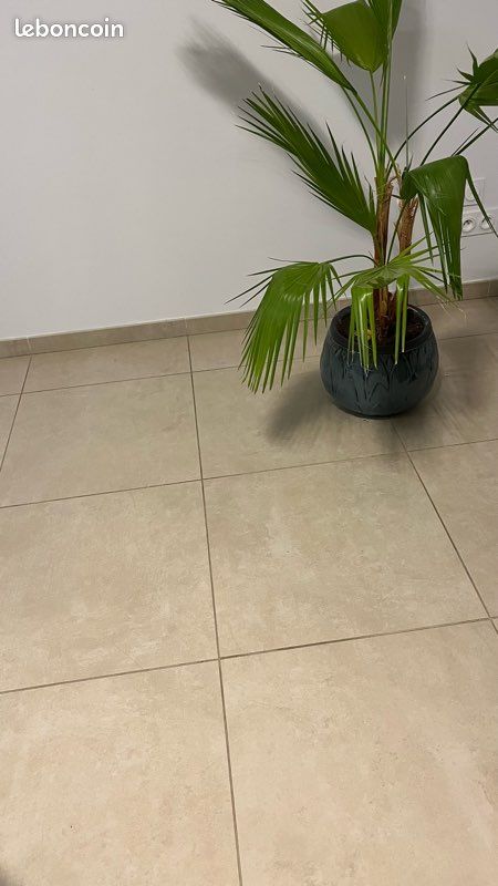 Lot carrelage neuf chil (image 1)