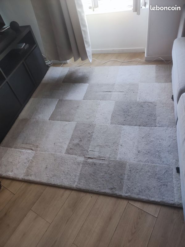 Tapis de salon beige (image 1)