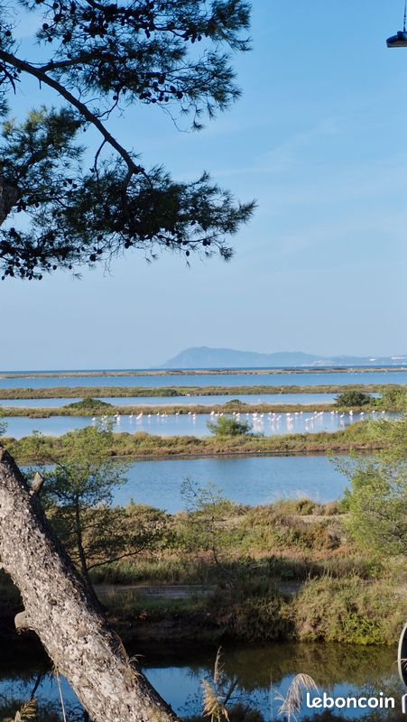 Logement Atypique bord de mer (image 12)