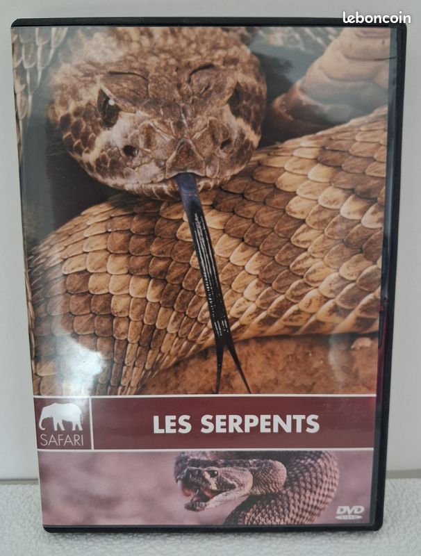 DVD : Les Serpents (image 1)
