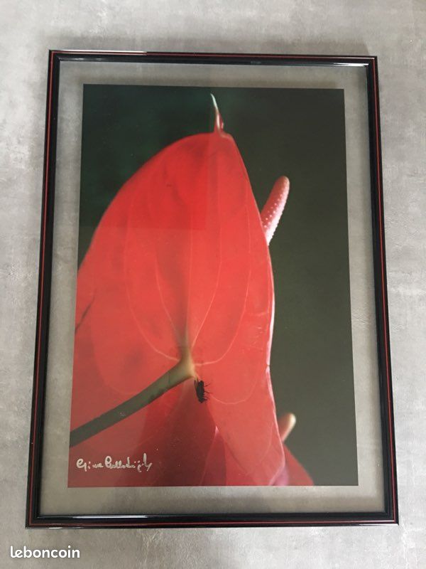 Photo (image 1)