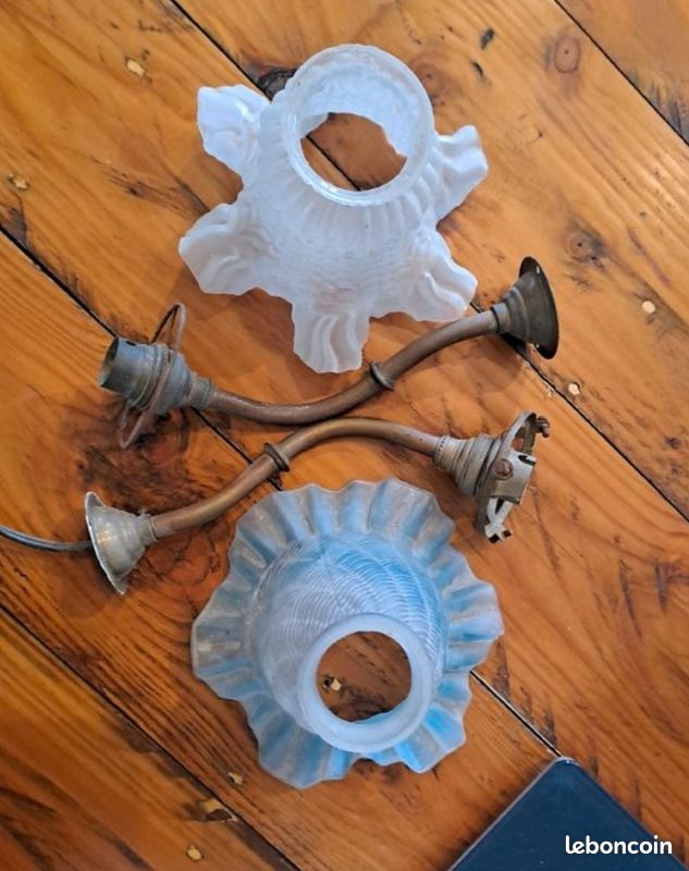 Lampes tulipe (image 1)