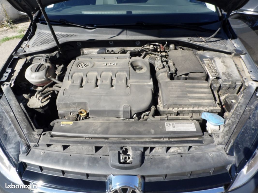 VOLKSWAGEN GOLF 1.6 TDI 110 BlueMotion Technology FAP Allstar DSG7 (image 19)