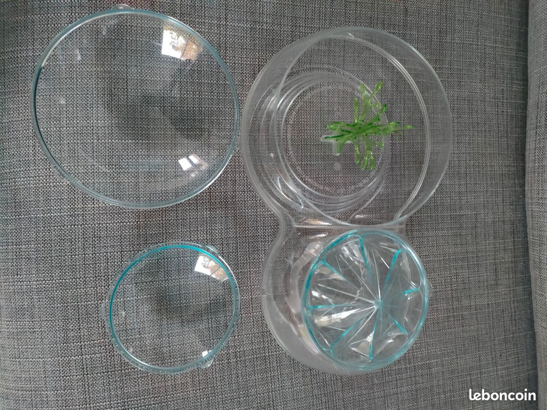 Biosphère serre (image 1)