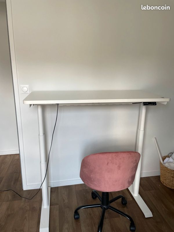 Bureau assis/debout Flexispot (image 8)