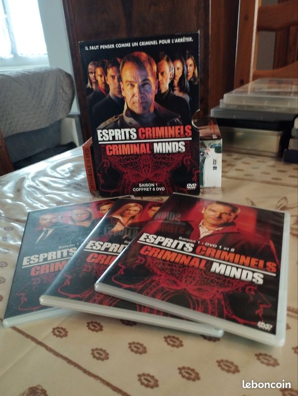 DVD Esprits criminels (image 1)