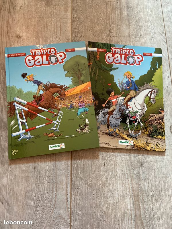 Lot de 2 livres (image 1)