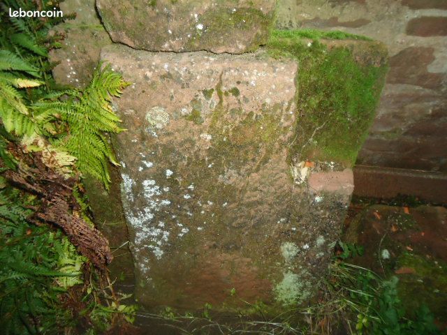 Dalles grès des vosges (image 1)