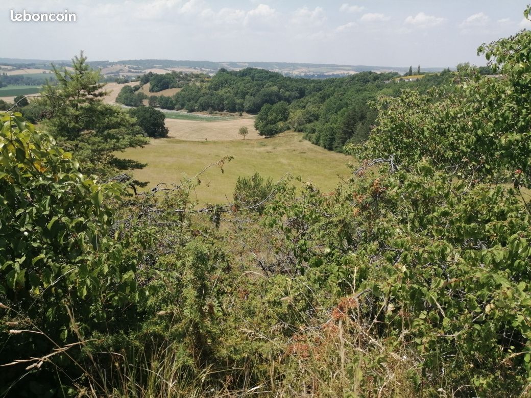 Terrain 110000 m² · à Saint-Paul-Lizonne · 40 000 €