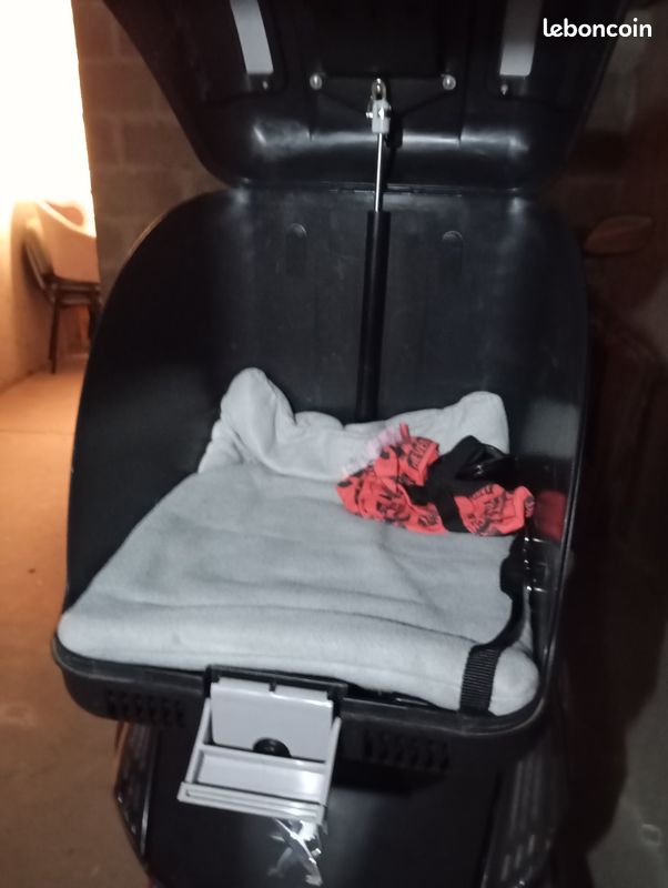 Top case moto pour chiens et chats Accessoires animaux