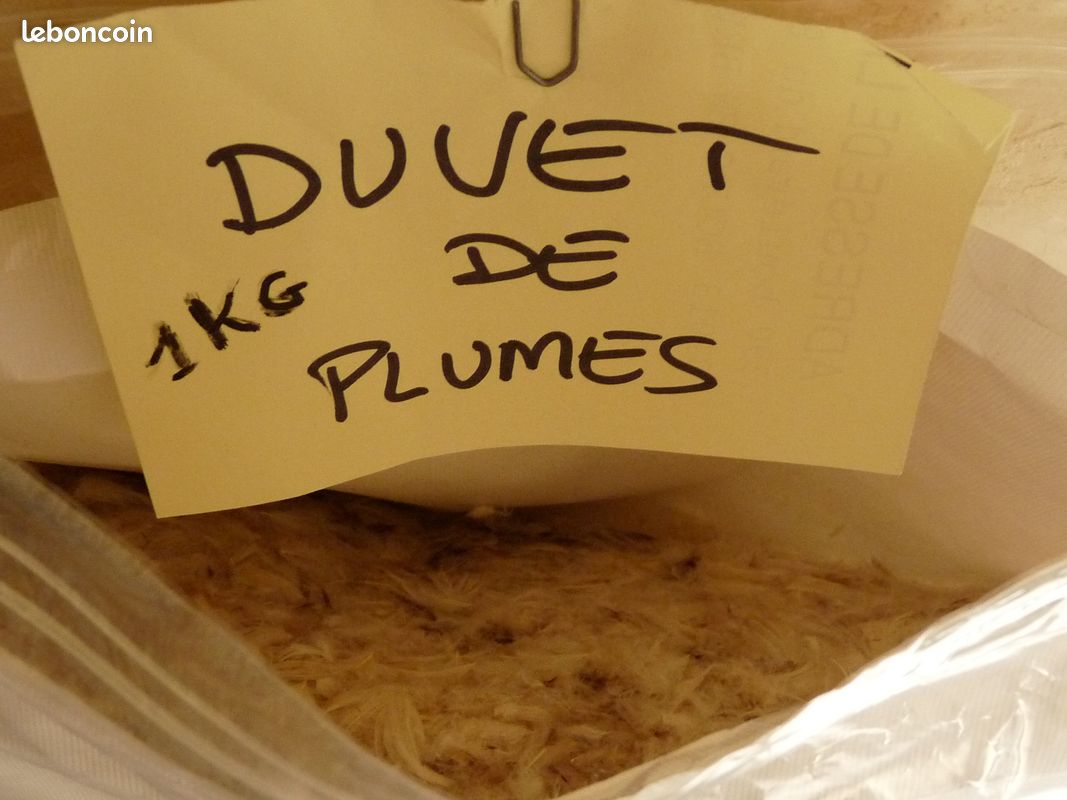 Duvet de plumes (image 3)