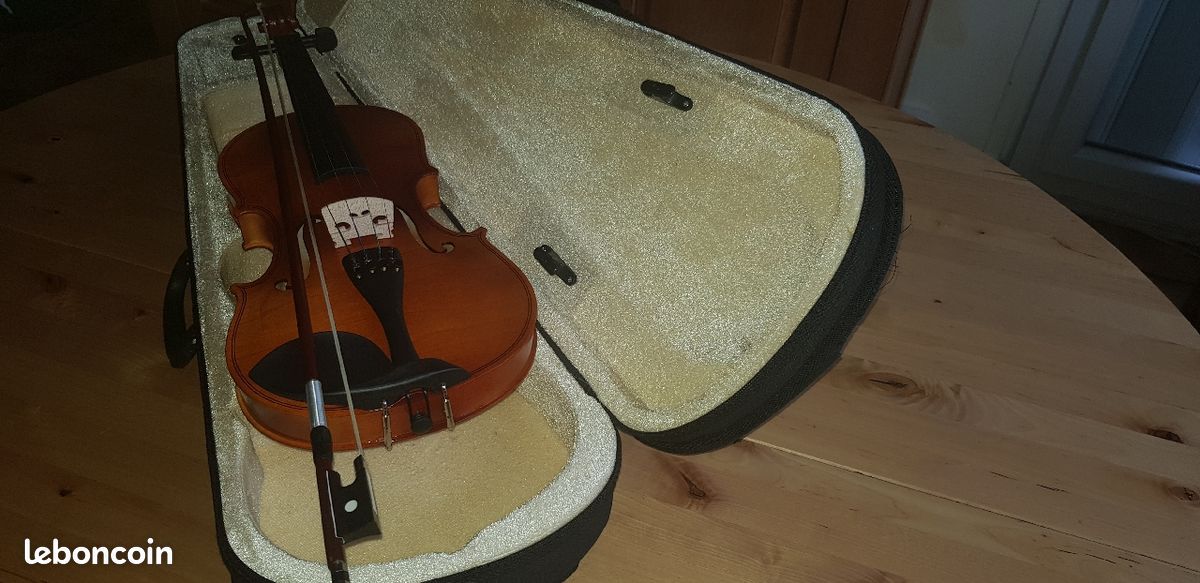 Violon 4/4 (image 1)