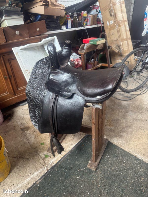 Selle ancienne Amazone (image 2)