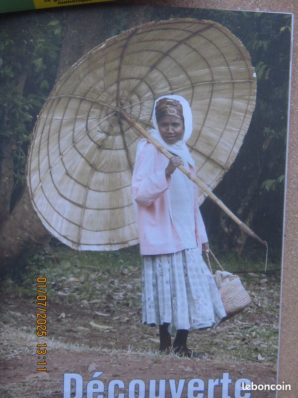 Guides de voyage "Le petit futé" (image 16)