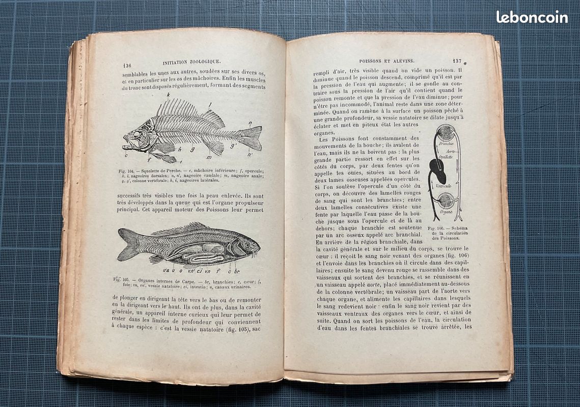 Initiation zoologique par E. Brucker - Hachette 1921 (image 8)