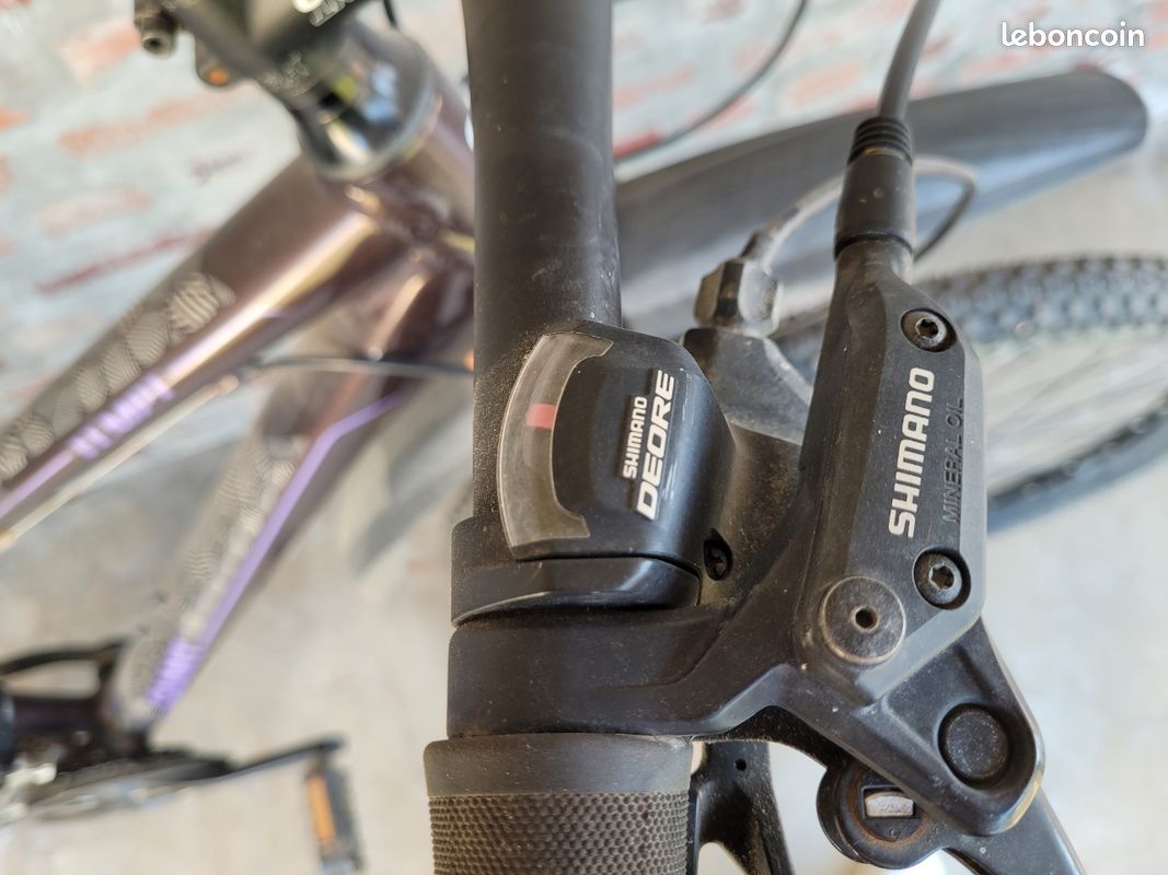 VTT giant Tempt (image 5)