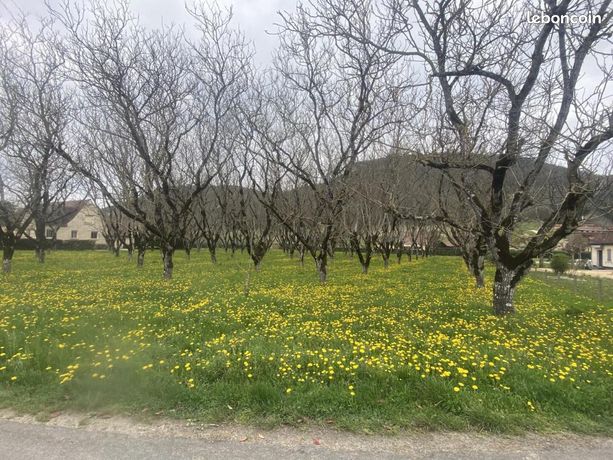Terrain 4 530 m² Saint Vincent De Cosse