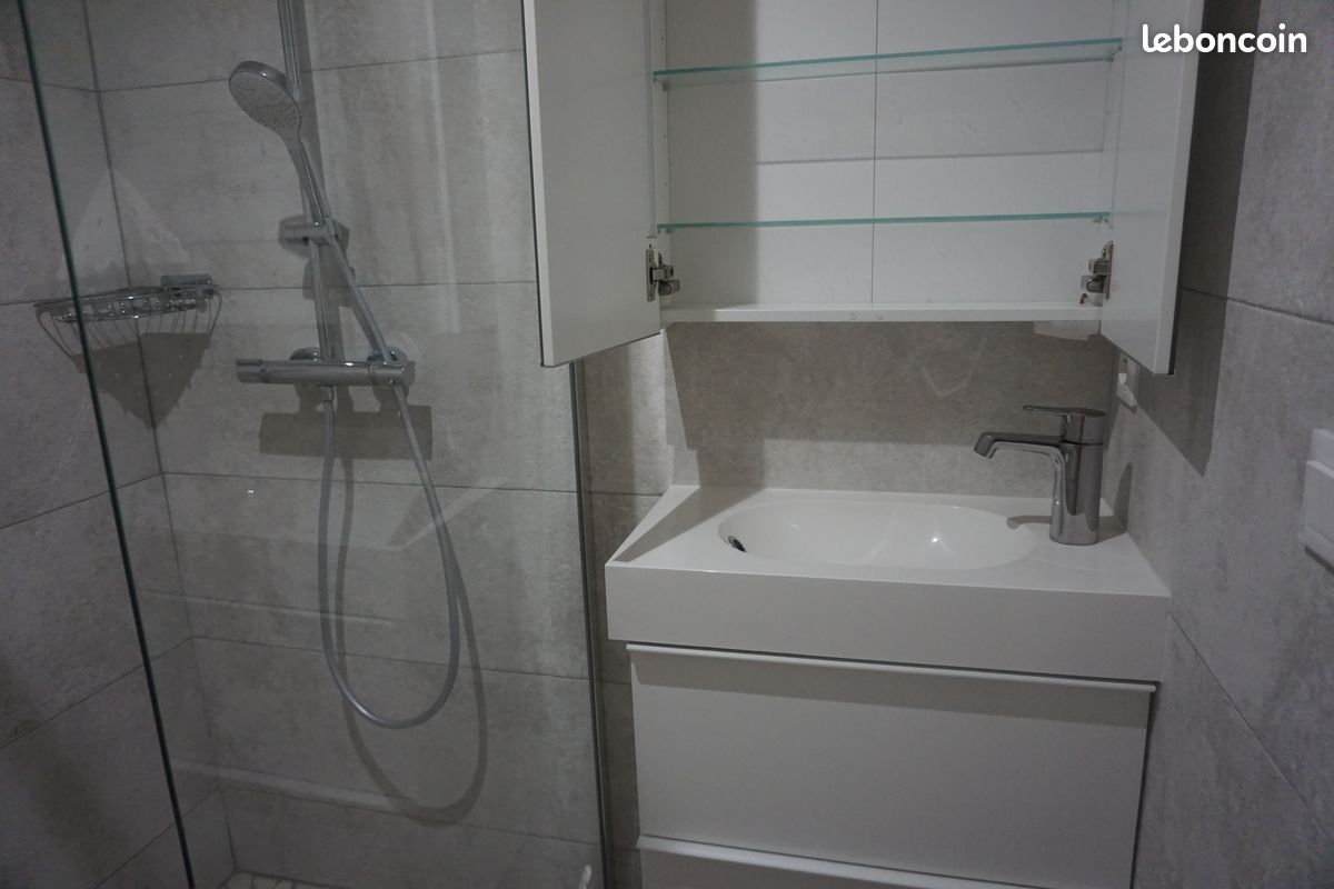 Appartement 1 pièce 18 m² · à Roanne · 18 m² · 500 €