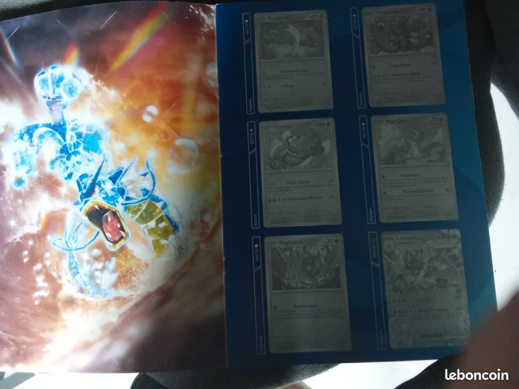 Album pokémon (image 4)