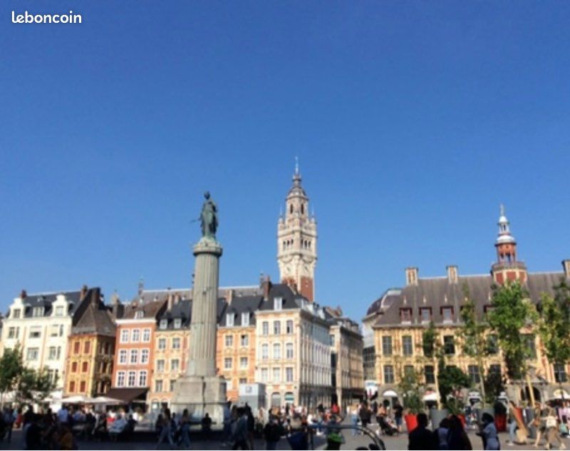 Appartement 2 pièces 43 m² · à Lille · 43 m² · 1 140 €/mois