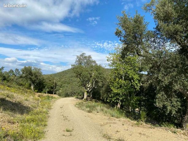 Terrain 1 147 m² Taillet