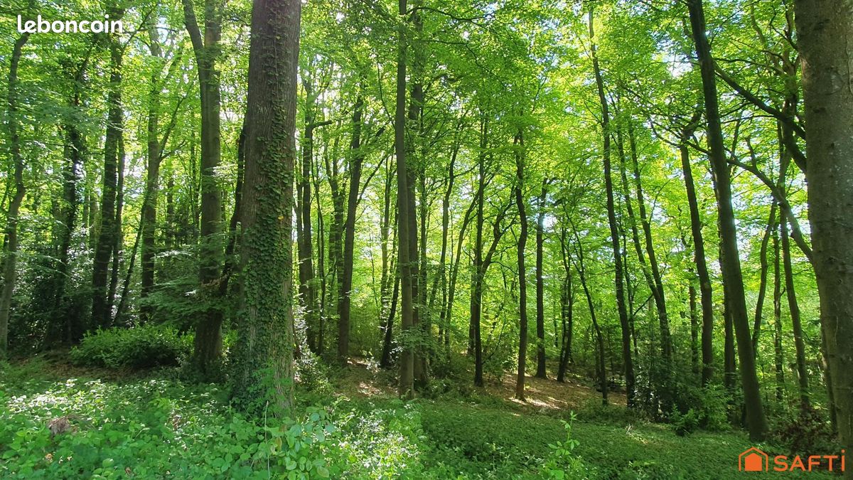 Terrain 2941 m² SAINT-GATIEN-DES-BOIS (image 1)