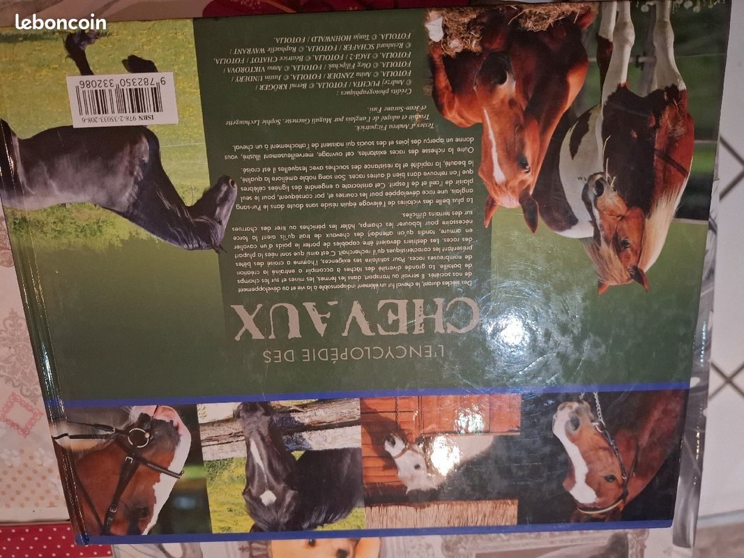 Livre Chevaux (image 2)