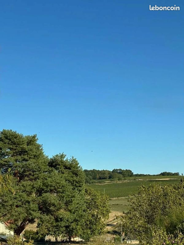 Terrain 1544 m² · à Cravant-les-Côteaux · 1 544 m² · 49 900 €