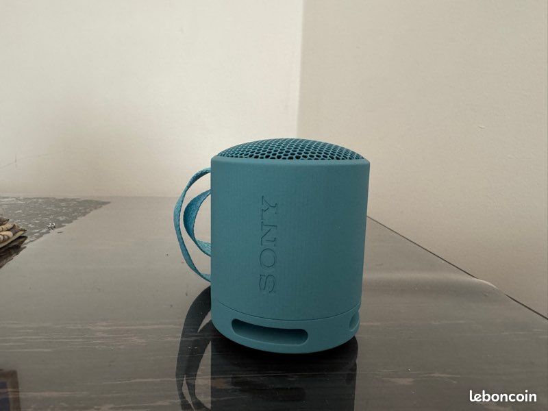 Enceinte Bluetooth Sony SRS-XB100 - Portable, Étanche IP67, Son Puissant 16h D'Autonomie - Noir
