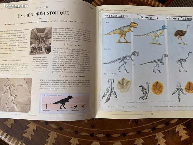 Livre Tyrannosaure (image 6)