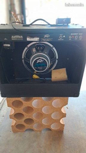 Guitare électrique Washburm est ampli PEAVEY 100w (image 8)