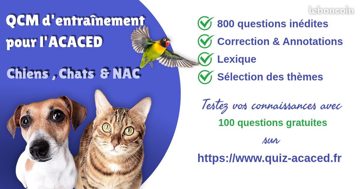 Travailler avec les animaux : QCM en ligne pour préparer l’ACACED (H/F/X) (image 1)