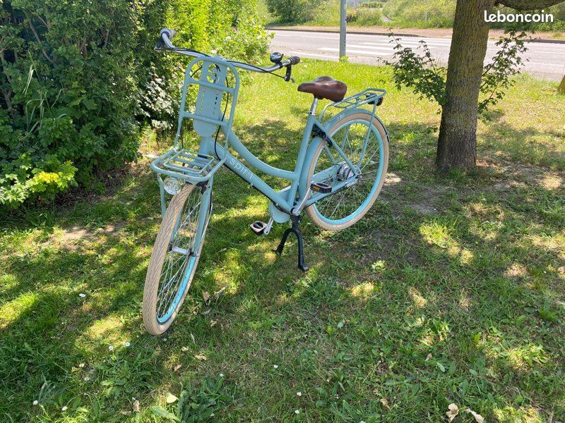 Vélo dame hollandais Spirit Cargo (image 1)