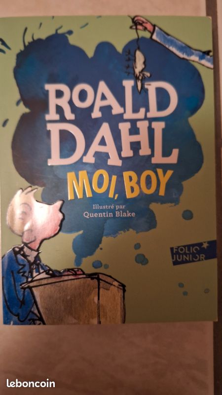 Moi boy livre de roald dahl (image 2)