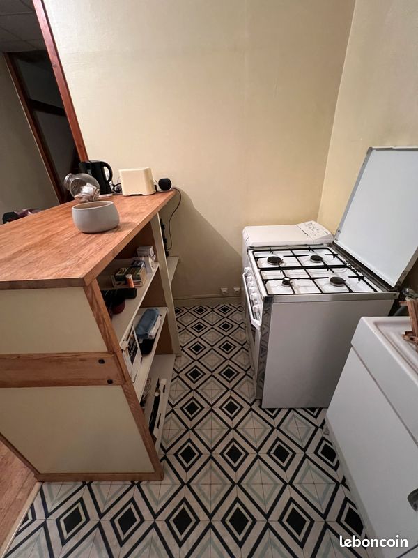 Appartement Croix-Rousse (image 3)