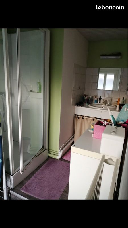 Appartement de charme - Limoges 87000 (image principale 2)