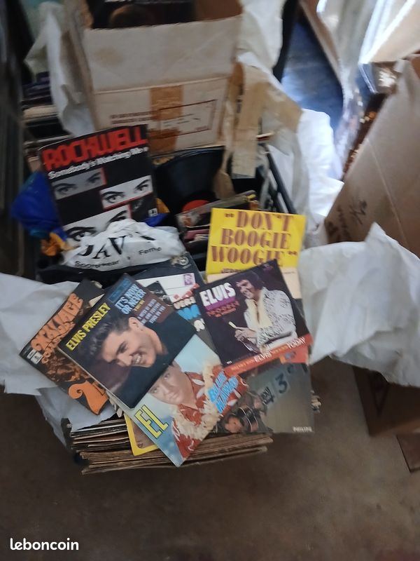 Disques vinyle français et anglais (image 1)