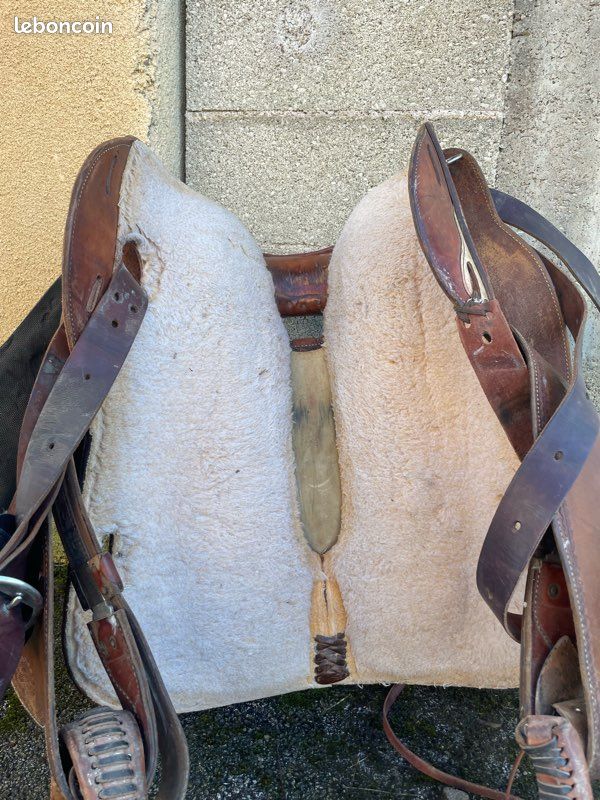 Selle Pro Concept Cavalhorse - Selle cheval - Cavalhorse - Le Paturon
